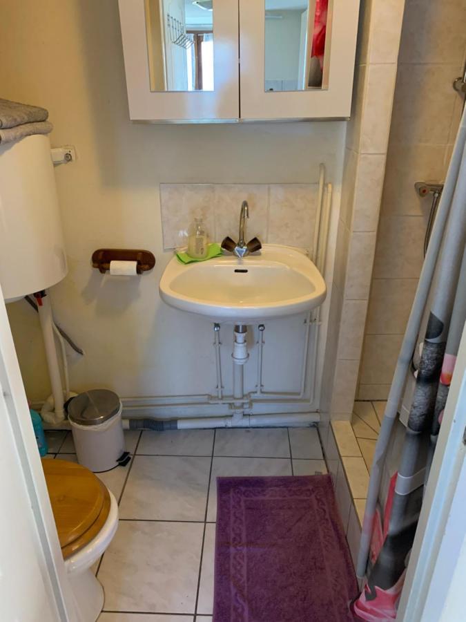 Appartement Style Rustique Urbès Exteriör bild